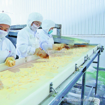 פס ייצור של צ&#39;יפס תפוחי אדמה קפוא